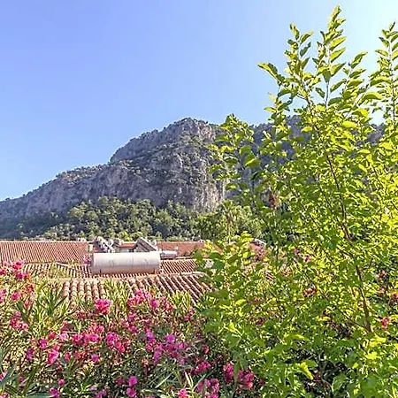 Ξενοδοχείο Aydos & Breeze Restaurant Dalyan