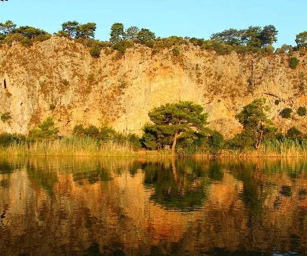 Aydos Club * דליאן